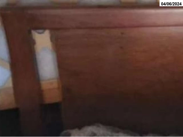 Cama de solteiro em madeira