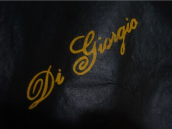MARCA "DI GIORGIO" E DOMÍNIO ""